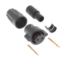 Immagine W6282-2SG-P-528.
