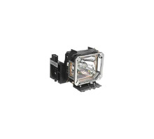 Immagine WW-0TZF-3.